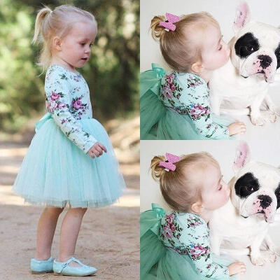 

Newborn Baby Girls Long Sleeve Floral Party Pageant Formal Tulle Dress Clothes