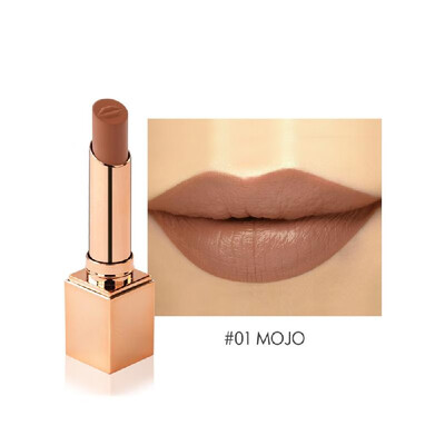 

STAGENIUS Makeup Lipstick Matte Red Lip Waterproof Long-lasting Velvet Lipstick