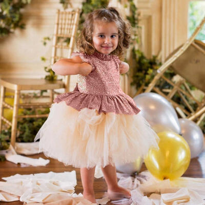 

Flower Girls Dress Princess Kids Baby Lace Tutu Party Wedding Bridesmaid Dress