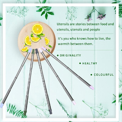 

Reusable Drinking Straw Stainless Steel Telescopic Portable Straws Pink