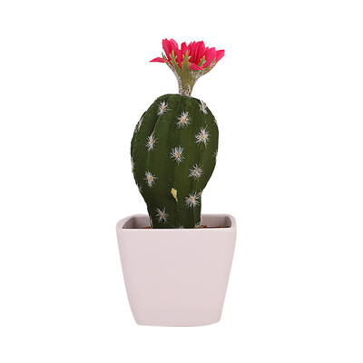 

Gobestart Simulated Potted Cactus Artificial Green Plant Potted Flower Art Home Decor