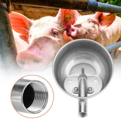 

Greensen Stainless Steel Pig Drinking Water Bowl Piglets Automatic Drinking Fountains Feeder Equipment