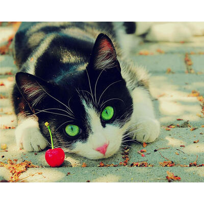 

5D DIY Diamond Painting Green Eyes Cat Cross Stitch Embroidery Mosaic Kits
