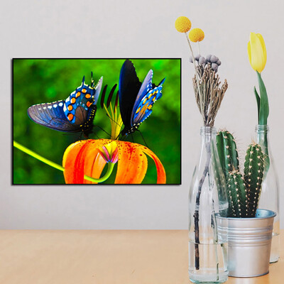 

Toponeto 5D Embroidery Paintings Rhinestone Pasted DIY Diamond Painting Cross Stitch