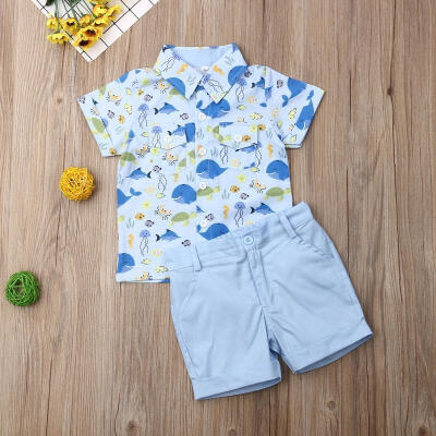 

New Toddler Kids Baby Boy Cute Whale Short Sleeve T-Shirt TopShorts Pants 2pcs Outfits Set 1-5Y