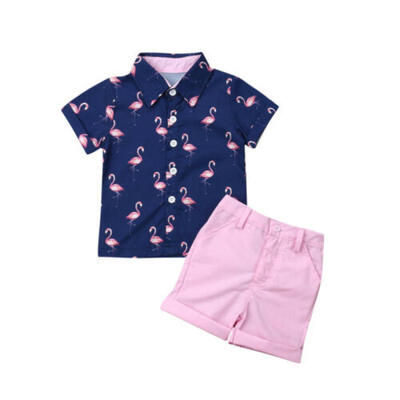 

Baby Boy Kids Gentleman Flamingo ShirtShorts Pants Wedding Party Summer Set UK