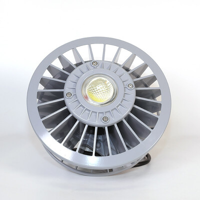 

Tormin LED Explosion Proof Light BC9307P