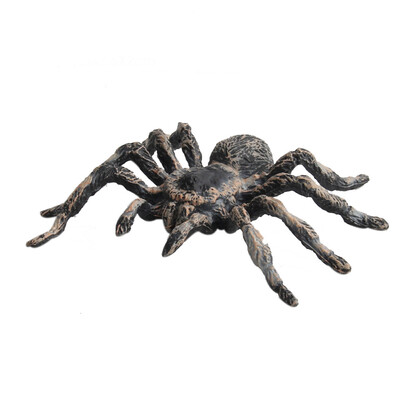 

Tailored Educational Science Toy Simulated Spider Model Toy For Kids Children