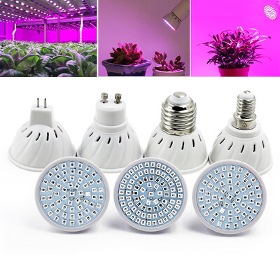 

OMTO LED Plant Growth Bulb 110V For Succulent Green Leaf Potted Plant