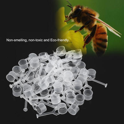 

Greensen 50 PCS Plastic Beekeeping Queen Cell Bee Feeding Beekeeper Tools