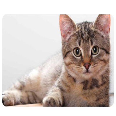 

CAT-9 Mouse Pad Cute Cat Picture Anti-Slip Gaming Mouse Mat for PC Computer Laptop MackBook