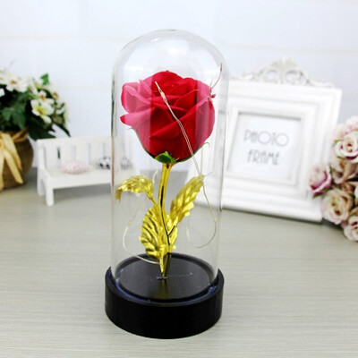 

Rose Eternal Flower Micro Landscape Decoration with Lights Valentine\ Day