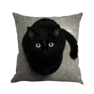 

〖Follure〗Cat Square Pillowcase Home Decoration Car Sofa Bedroom Cushion Cover