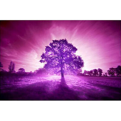 

5D DIY Full Drill Diamond Painting Novelty View Cross Stitch Embroidery Kit
