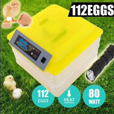 

112-Egg 100W Practical Fully Automatic Poultry Incubator Temperature Control