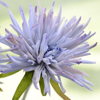 

Single crab claw chrysanthemum Artificial flower pot plant home decoration flower wedding road lead bonsai blue