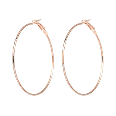 

Trendy Top Seller Brand Designer cimple big round hoop Earrings Factory Wholesale hoop earring Jewelry Accessories