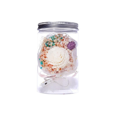 

Foam Flower Dried Gypsophila Flower Bottle Night Light Home Decor Valentines Day Gift
