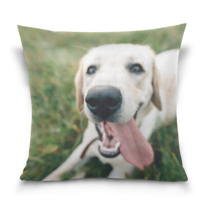 

ALAZA Throw Pillow Case Decorative Pillow Covers 16 X 16 inch Funny Dog Labrador Pattern Pillowcase