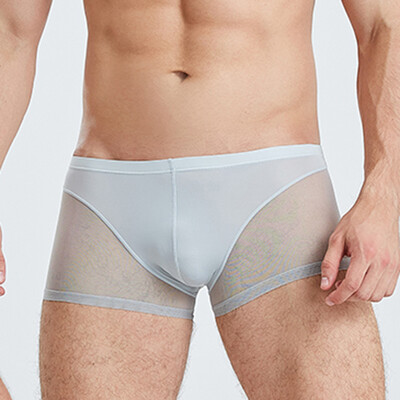 

Mens Sexy Breathable Underwear Underpants Boxer Mesh See Through Shorts Briefs