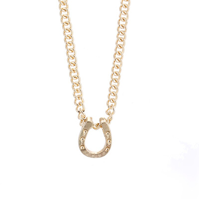 

Fashion Jewelry Reminders- Lucky Horseshoe Silver Color Horseshoe Charm Necklace For Women