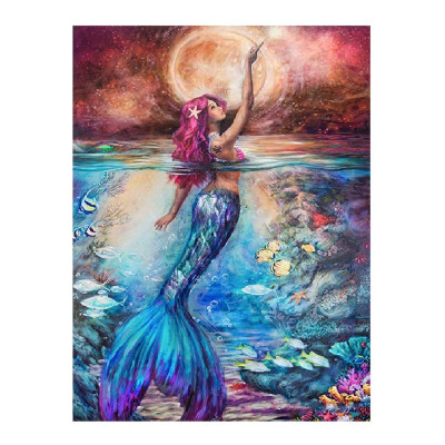 

Owl Mermaid DIY Oil Painting By Numbers Material Tool For Home Living Room Decoration