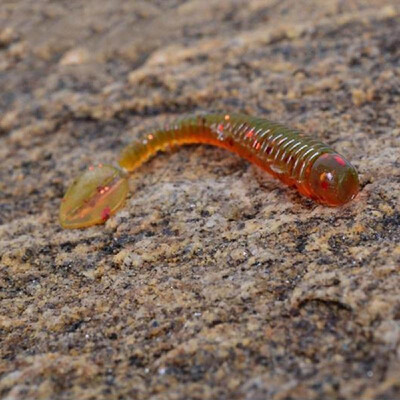 

12Pcs 5cm 06g Soft Artificial Fishing Lures Small Size Lightweight Grub Worm Swimbaits