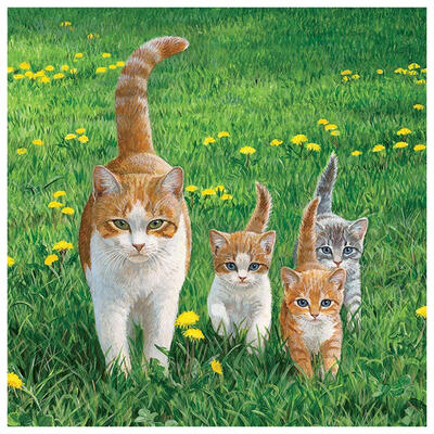 

5D DIY Full Drill Diamond Painting Cats Family Cross Stitch Embroidery Kits