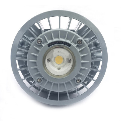 

Tormin Explosion Proof LED Floodlight BC9306P