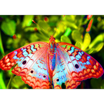 

5D DIY Full Drill Diamond Painting Butterfly Cross Stitch Embroidery Kits