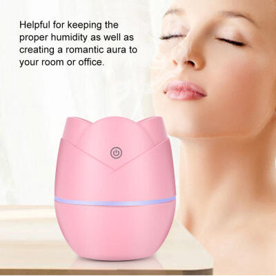 

Greensen Pink Cute Desktop Diffuser Humidifier USB Mini Humidifier Water Spray