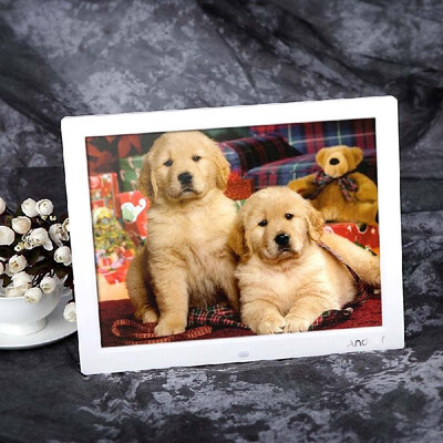 

Andoer 14 HD TFT-LCD 1024768 Digital Photo Frame Alarm Clock MP3 MP4 Movie Player with Remote Desktop