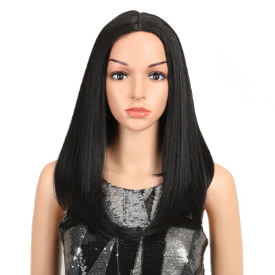 

Noble Ombre Color Straight Hair 18"Inch Lace Front Wig African American Wigs Synthetic Heat Resistant Hair