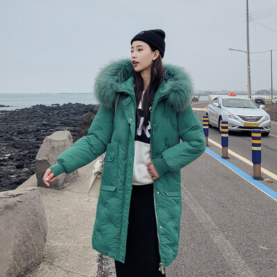 

Tailored Womens Winter Long Sleeve Stand Zipper Pocket Button Hooded Down Jacket Tops