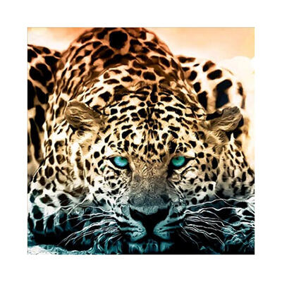 

30x30cm DIY 5D Round Diamond Painting Leopard Embroidery Cross Stitch Decor