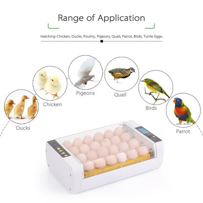 

Ktaxon Digital Mini Fully Automatic Egg Incubator 24 Eggs Poultry Hatcher for Chickens Ducks Goose Birds