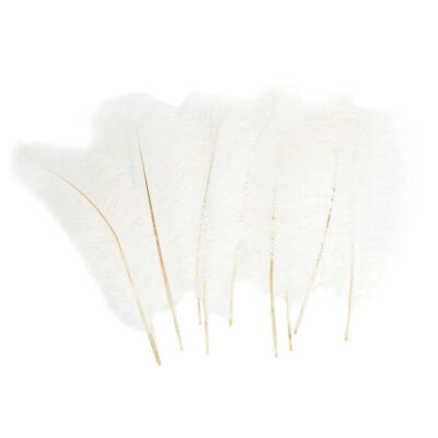 

10pcs Natural White Ostrich Feathers Carnival Party Wedding Decor Plumes