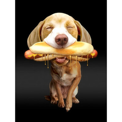 

5d Diamond Painting New Arrivals Dog Full Square Diamond Embroidery Animal Picture Of Rhinestones Home Decoration