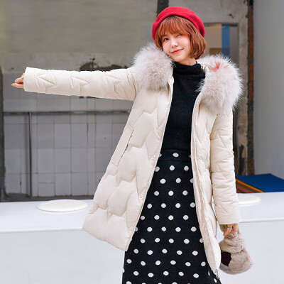 

Roseonmyhand Women Winter Warm Coat Hooded Thick Warm Loose Pocket Jacket Long Overcoat