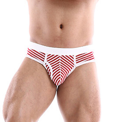 

Mens Lingerie Thongs Knickers Low Rise Bikini Striped Sissy Underpants Briefs