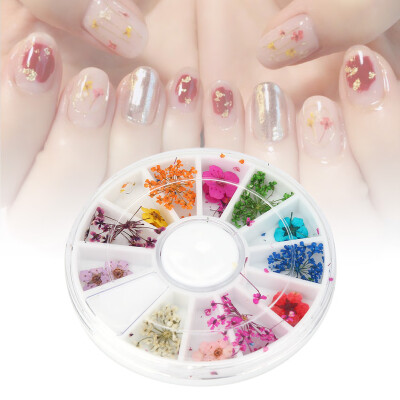 

Greensen 12 Types Colorful Natural Dried Flowers Set Real Dry Flowers Nail Decoration Manicure Arts