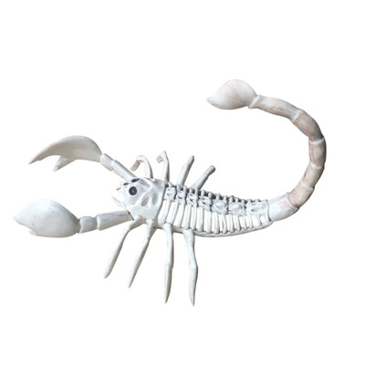

Siaonvr Halloween Skeleton Animal Bones Horrible Decoration Simulation toy