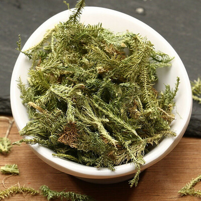 

Organic Shen Jin Cao Japanese Club Moss Lycopodium Chinese Stretch Sinew Herb