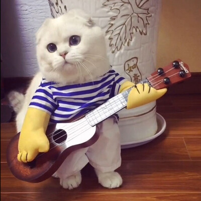 

Guitarist Dog Clothes For Small Dogs Winter French Bulldog Jacket Standing Dog Halloween Costume Chihuahua Pet Clothes