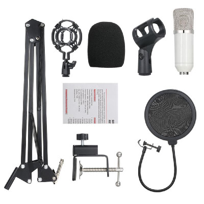 

Professional BM700 Condenser Microphone Mic KTV Singing Studio Recording Kit BlackGolden