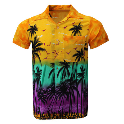 

Toponeto Fashion Mens Casual Button Hawaii Print Beach Short Sleeve Quick Dry Top Blouse
