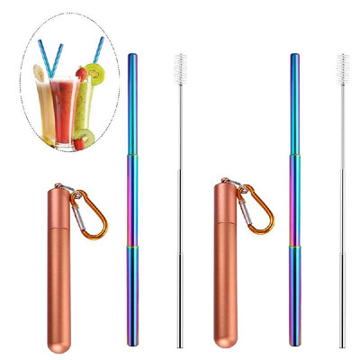 

Portable Collapsible Straw Reusable 304 Stainless Steel Metal Drinking 230MM Straws with Cleaning Brush & Climbing Hook