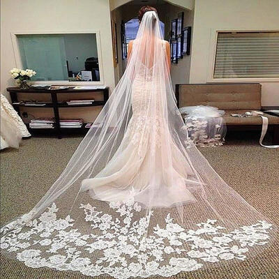 

Layers Wedding Bridal Veil Lace WhiteIvory Cathedral Length Birdcag Edge Bride