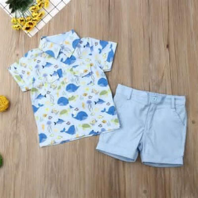 

US Baby Boy Toddler Kids T-Shirt Top Shorts Pants 2PCS Outfit Summer Clothes