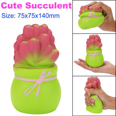 

Siaonvr Cute Succulent Squishy Slow Rising Cream Scented Decompression Toys